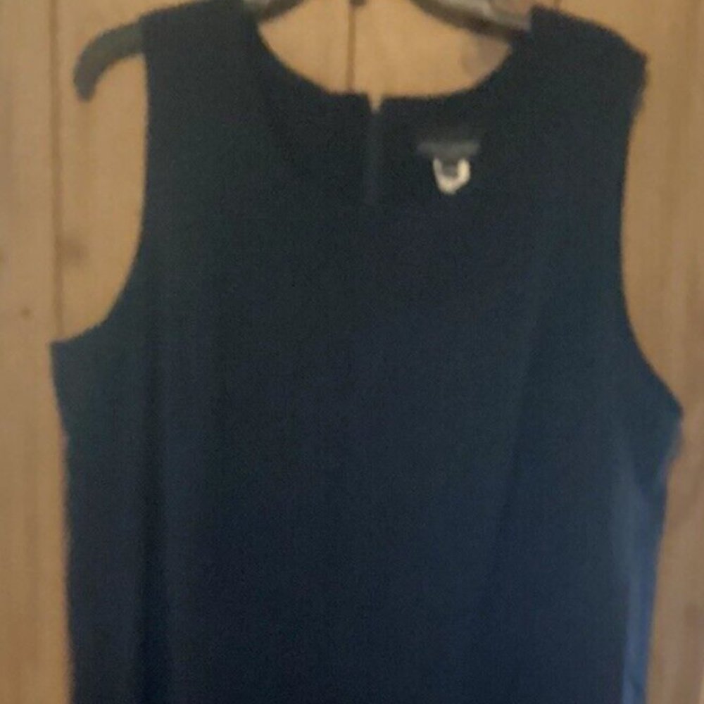 Lady Dorby Black Sleeveless Dress Size 20W